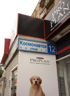 https://img.gogetposts.net/1748831922170.jpg