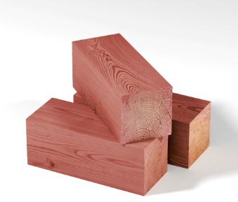 ������������� ��������