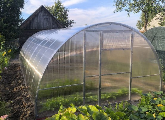 �����������