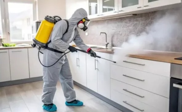 Уничтожение тараканов в квартирах в Москве