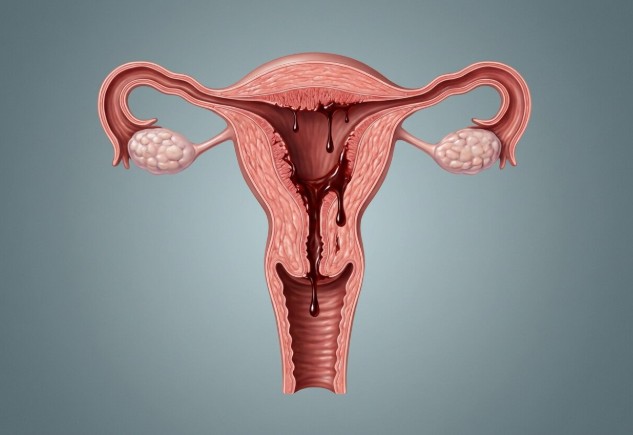 ����������� � ������� ��� �������� ������������